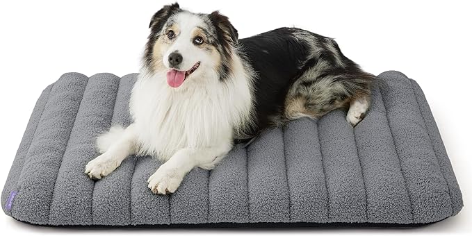 LE SURE Cute Orthopedic Dog Bed Large Sized Dog, Flat Pet Mat