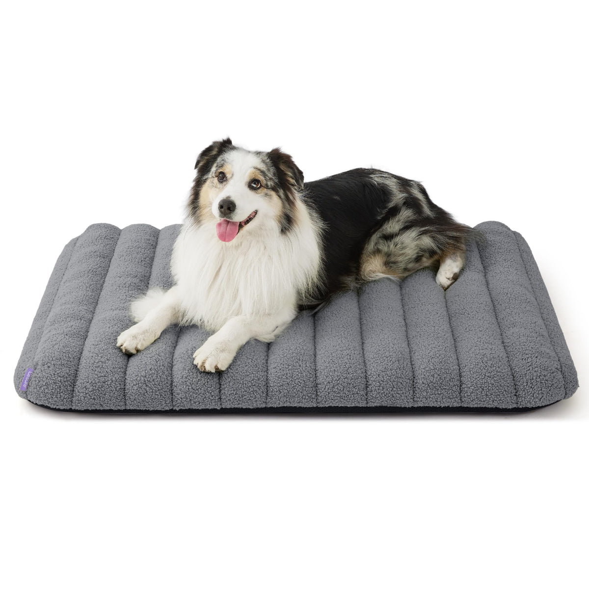 LE SURE Cute Orthopedic Dog Bed Medium Size Dog, Waterproof Chic Flat Pet Beds with Removable Washable Cover, Fuzzy Thick Egg Crate Foam Pet Mat for Indoor Use (30" x 20", Brown)