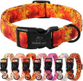 Fall Dog Collar, Gold Maple Leaves Pattern Fall Thansgiving Puppy Collar, Soft Adjustable Cotton Holiday Dog Collars for Small Medium Large Boy&Girl Dogs XS