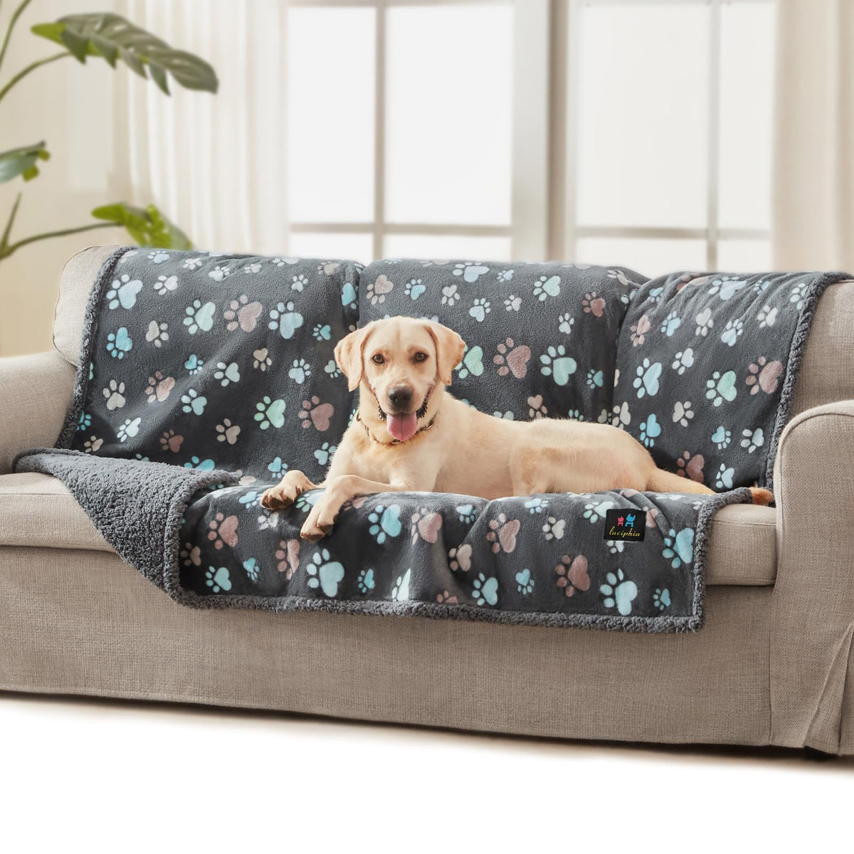 Luciphia Waterproof Dog Blanket Reversible Sherpa Fleece for Large Dogs Cat