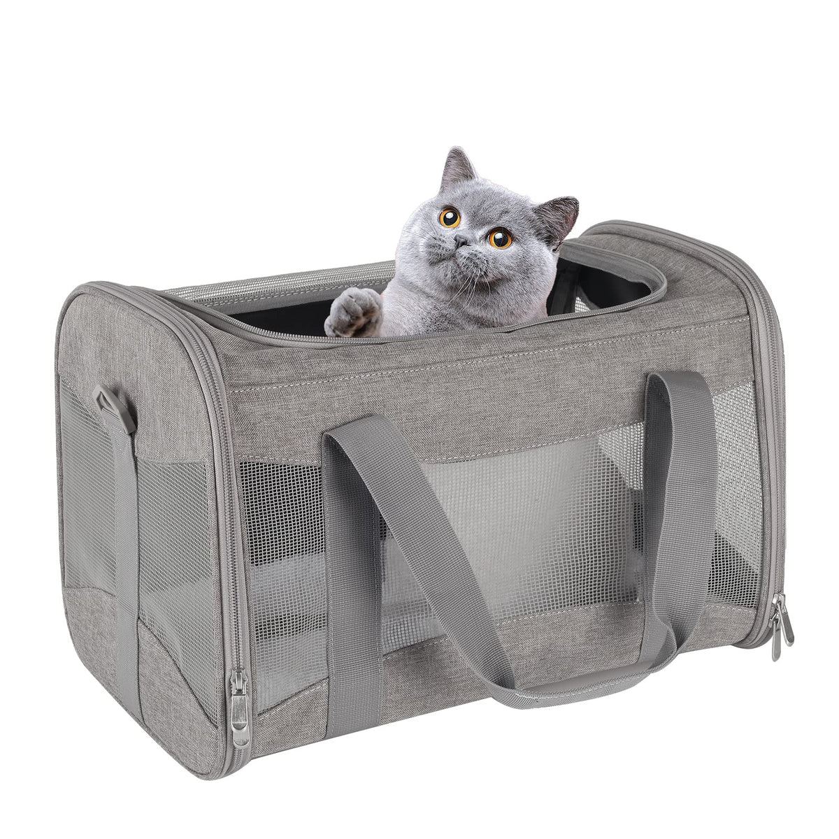 Cat Carrying Case - Pet Carrier Airline Approved, Protable and Breathable Pet Travel Carrier Removable Fleece Pad, Collapsible Cat Carrier Dog Carrier for Medium Cats Small Cats Dogs (Small, Black)