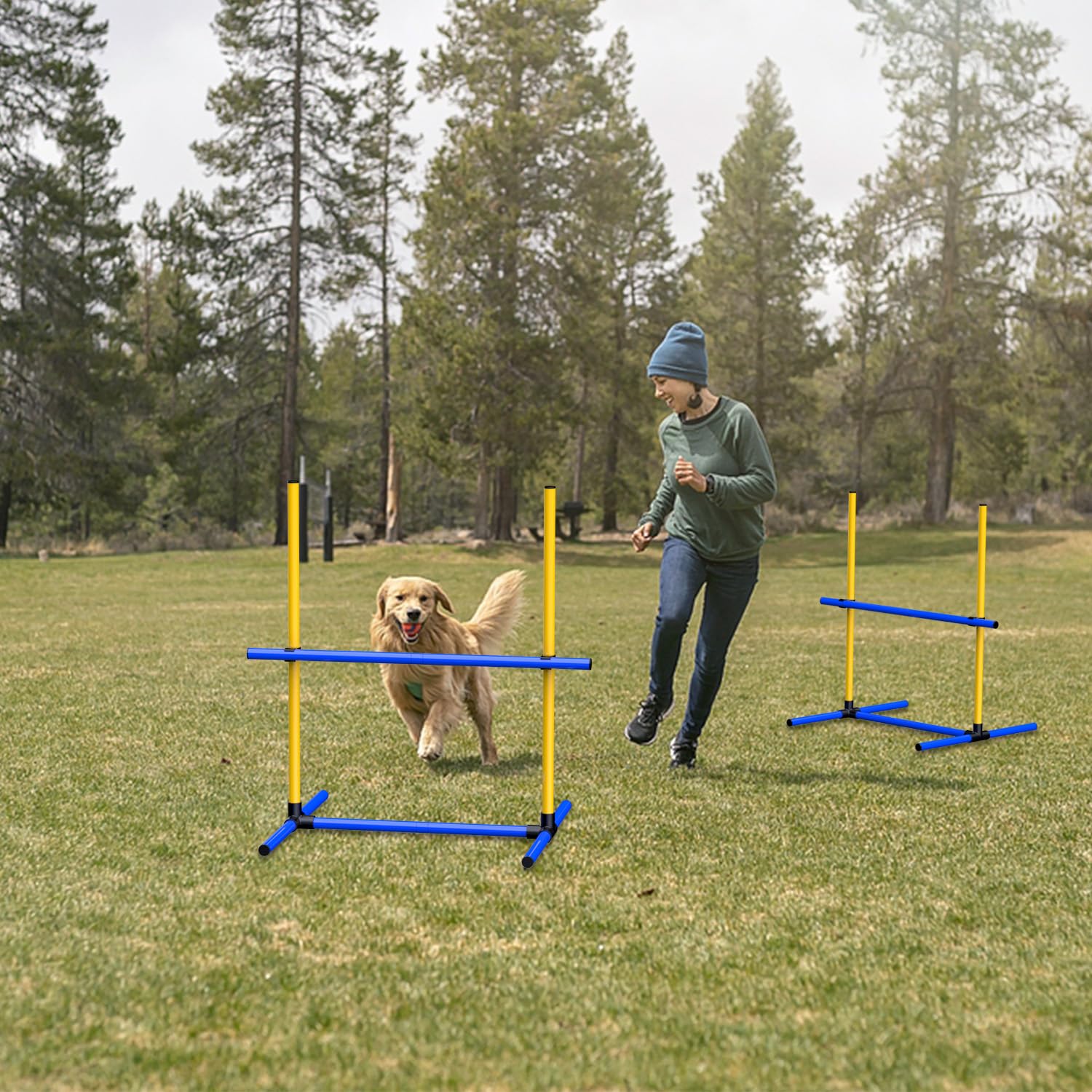 AHAILUOO Adjustable Dog Agility Hurdles with Carry Bag, 2 Sets