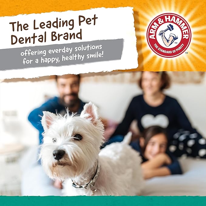 Arm & Hammer Nubbies T-Bone Dental Dog Chew Toy with Peanut Butter Flavor, Textured Chew Toy Designed to Help Clean Teeth and Support Oral Care for Dogs Up to 35 lbs - 24 Pack