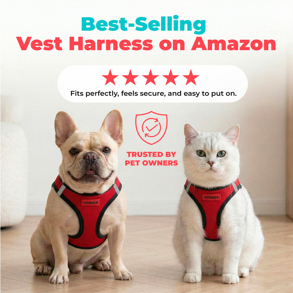 Voyager Step-in Air Dog Vest Harness - Red/Black Trim, Large