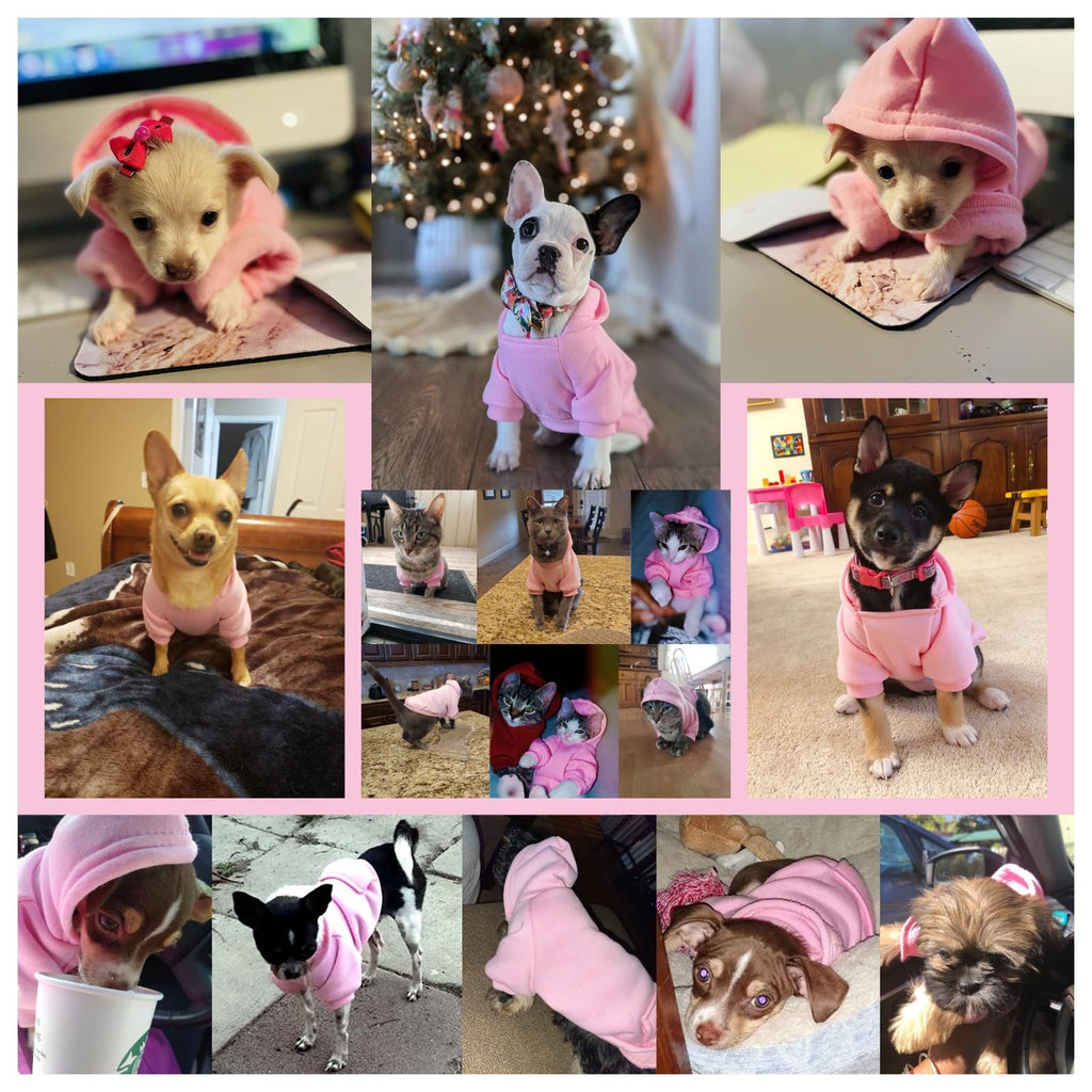 Soft Dog Hoodies for Small Dogs, Warm Fleece Puppy Clothes with Pocket