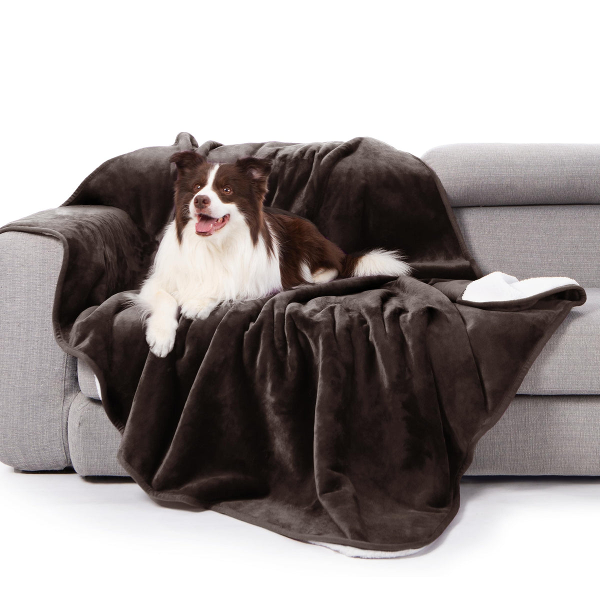 gogobunny Waterproof Bed Blanket, Reversible Sherpa Fleece Throw Blanket for Dog Puppy Cat, Furniture Cover Protects Bed Couch Sofa from Liquid Pee and Pet Fur (Cream, 90x108 inches)