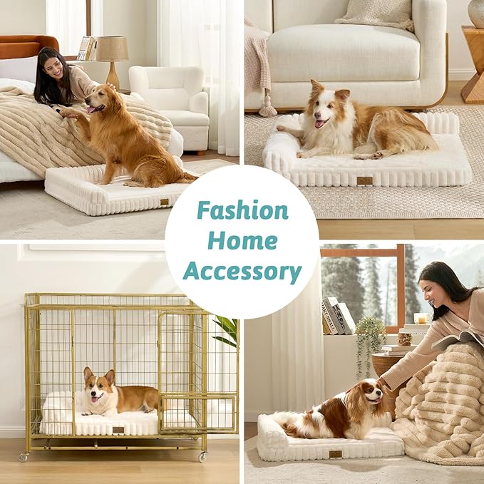 Cute Dog Bed, Faux Rabbit Fur Orthopedic Foam Dog Bed with Sides, Removable Washable Cover & Waterproof Lining, Comfortable Pet Couch for Small Dogs, Cream (30" L x 20" W x 6" Th)