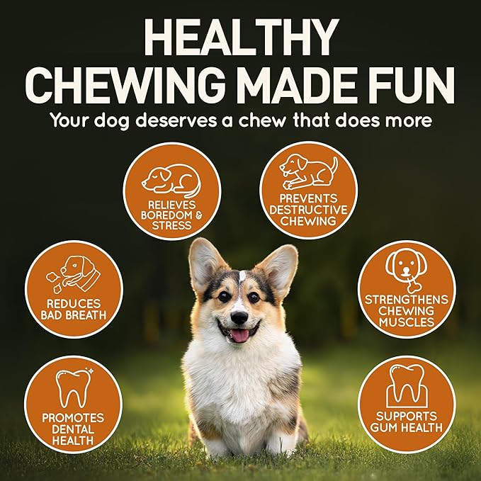 Wildfang® Olive Wood Chewing Sticks for Dogs, Medium - Tough Chew Toys for Aggressive Chewers, Puppy Chew Toys for Teething, Training for Chewing Muscles, Olive Wood Stick for Dog (33-55lbs)