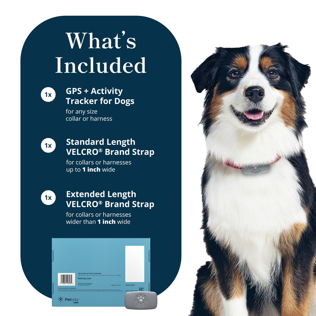 Purina Petivity Dog GPS Tracker Collar, Activity and Real Time Tracking
