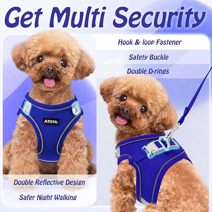 AIITLE Small Harness for Puppy with A Leash - Dog Vest Harness with Super Breathable Mesh, Reflective No-Pull Pet Harness for Outdoor Walking, Running for Small Dogs, Cats Royal Blue XXS