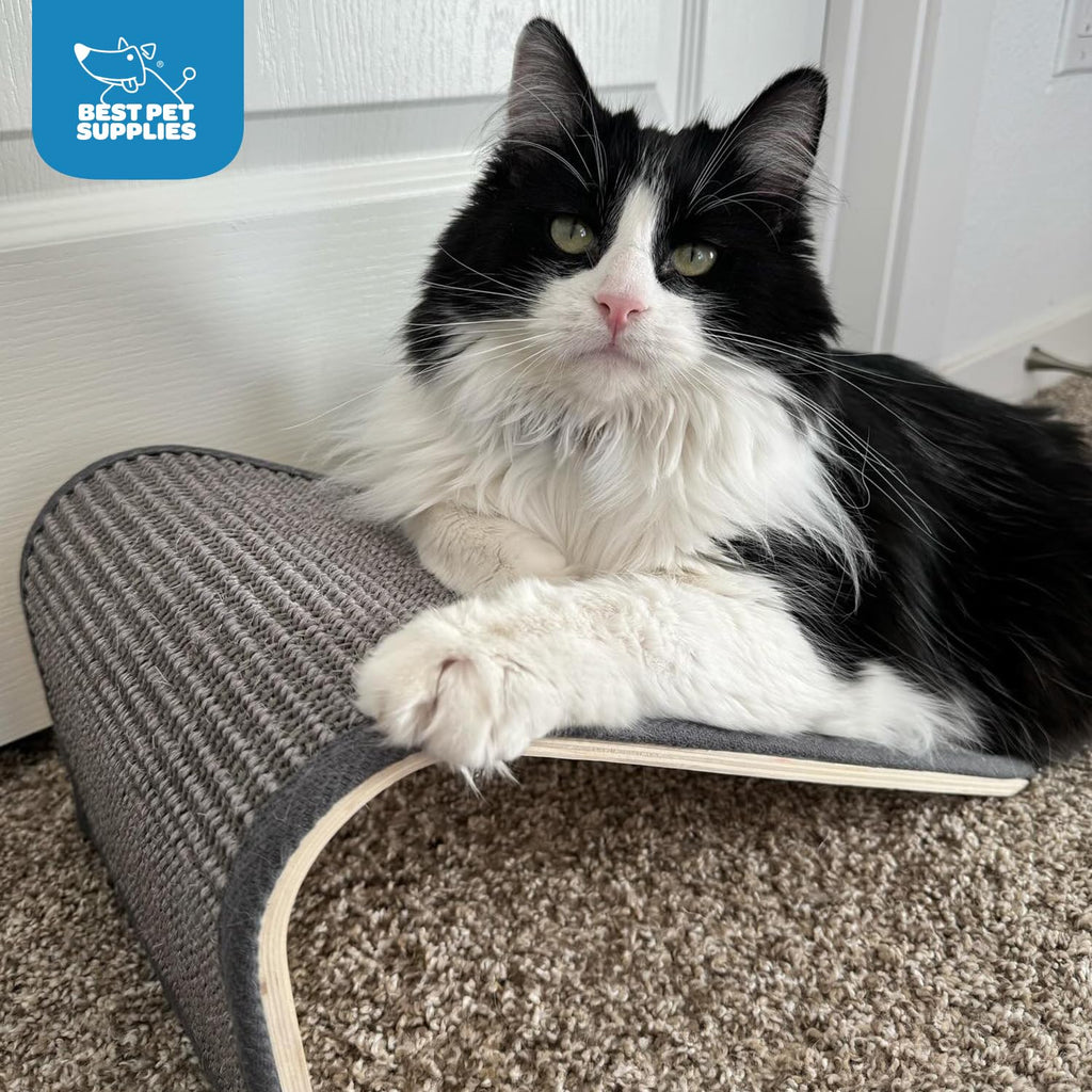 Best Pet Supplies Catify Cat Scratching Ramp - Gray