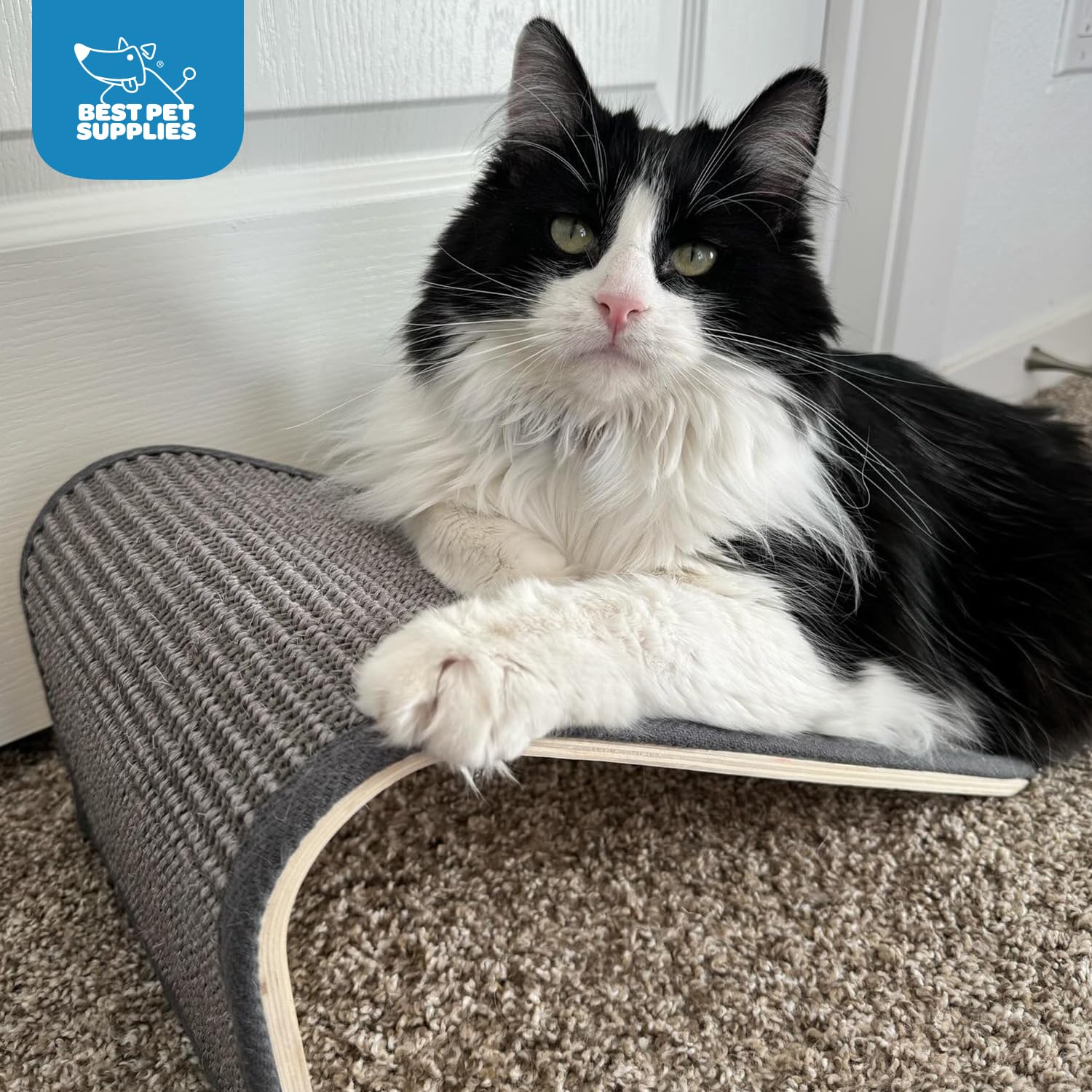 Best Pet Supplies Catify Cat Scratching Ramp - Gray