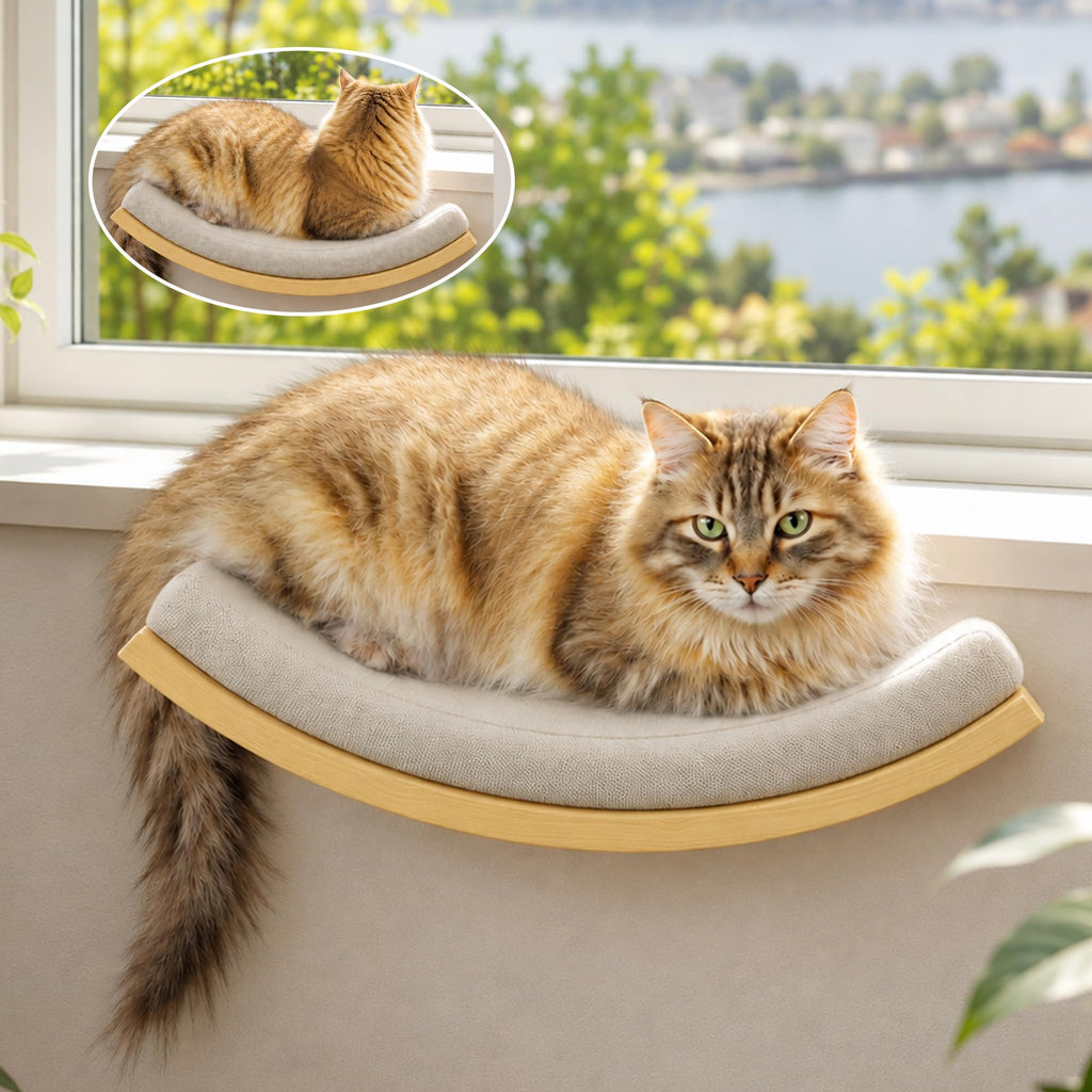 PELUOMOZ Cat Wall Shelf with Curved Hammock Bed, Wall Mounted Cat Perch