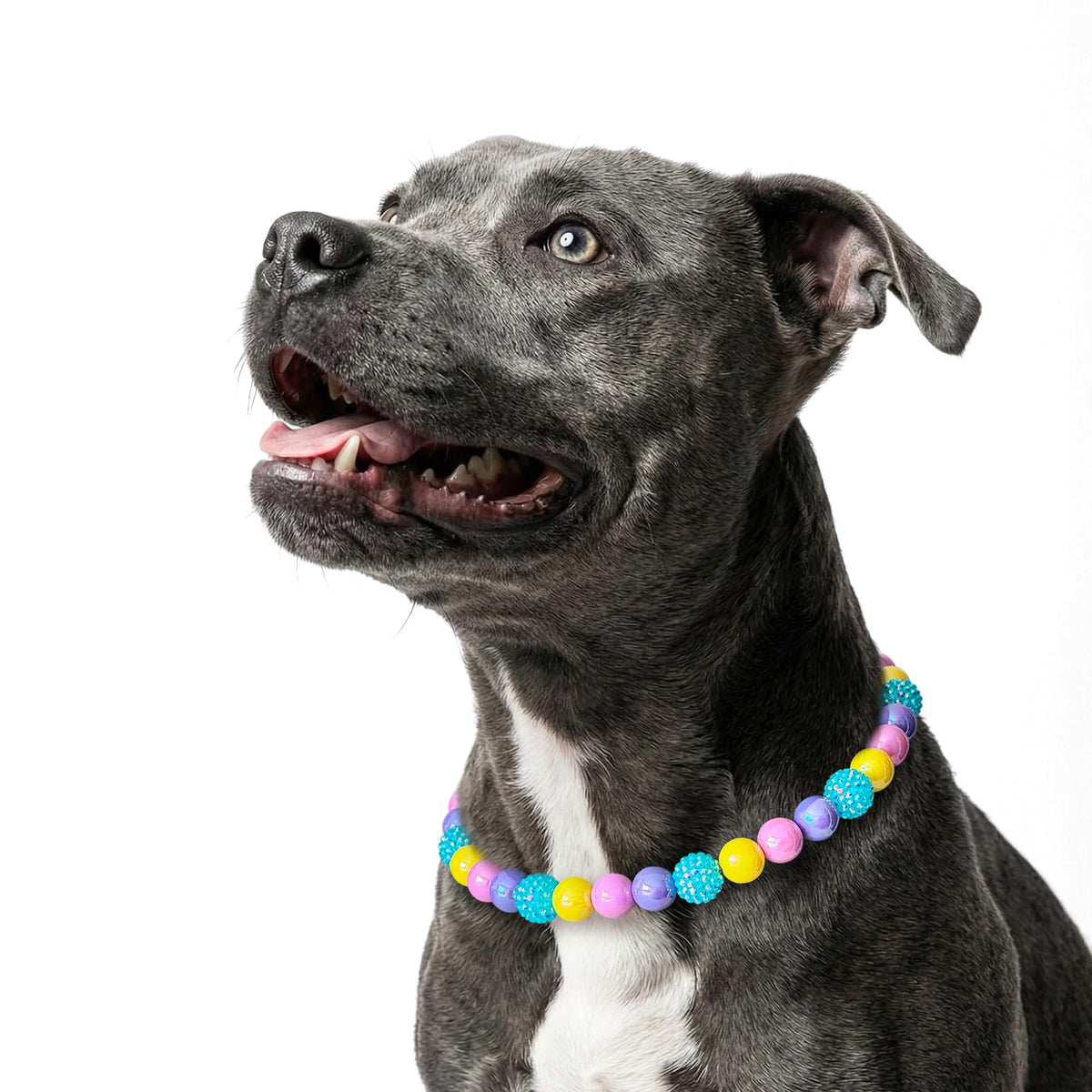 JOGIA Beaded Dog Necklace Collar, Adjustable Jewelry-Inspired Design with Sparkle Beads (Vivid Tropics, Medium)