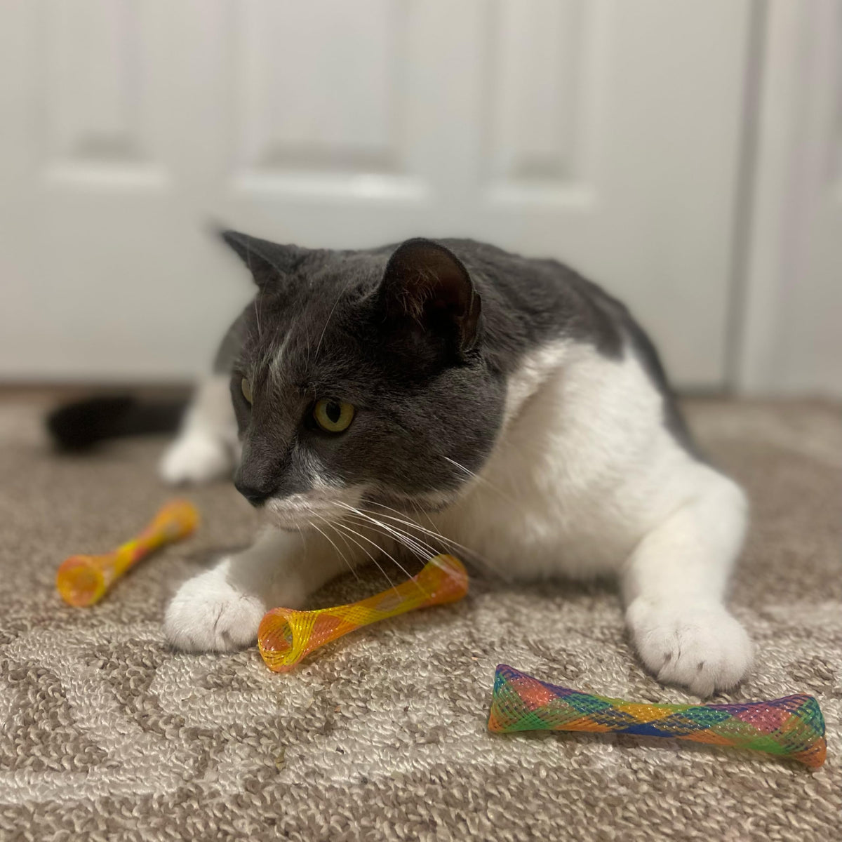 SPOT Kitty Fun Tubes Cat Toy with Catnip Inside | Bouncy Interactive Mesh Toy for Cats and Kittens to Bite, Swat and Chase | 3 Pieces