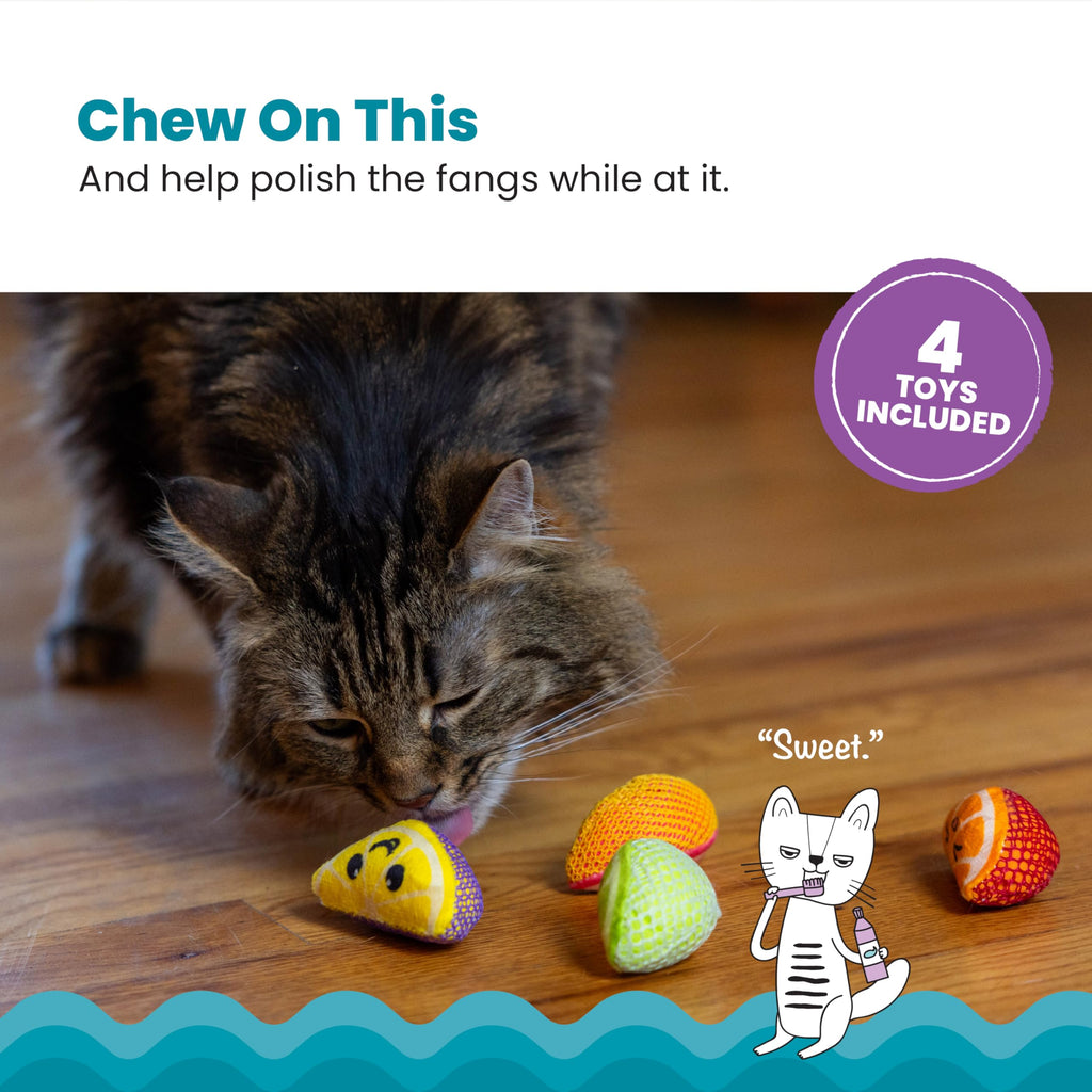 Catstages Dental Fruit Wedges Chew Cat Toys with Catnip, 5.3", 4-Pack