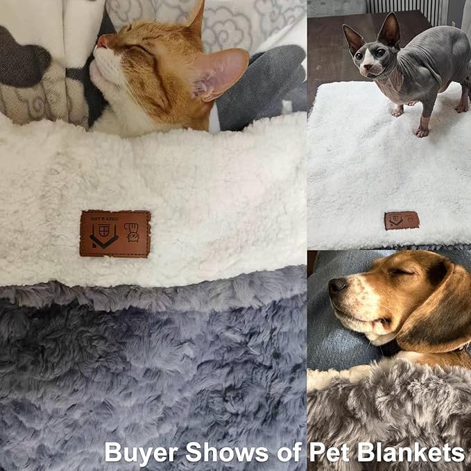 Cat Blanket for Indoor Cats Ultra-Soft Plush Small Blanket Machine Washable Cozy Calming for Kittens Cats Bed Couch Car 21"x18" Coffee