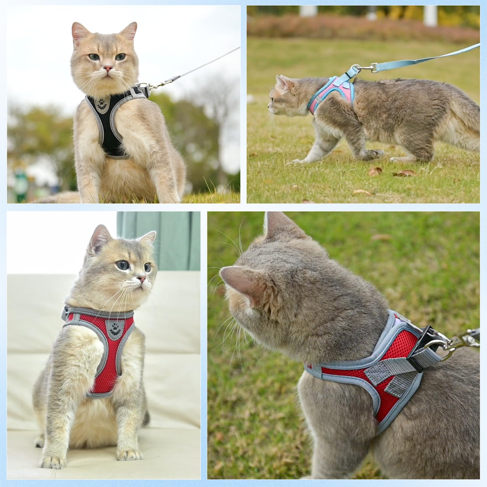 SCENEREAL Cat Harness and Leash Set Escape Proof, Adjustable Soft Air Mesh Kitten Harnesses for Girls Boys Small Medium Big Cats, Reflective Light Travel Pet Walking Vest for Puppy Rabbit, Red XL