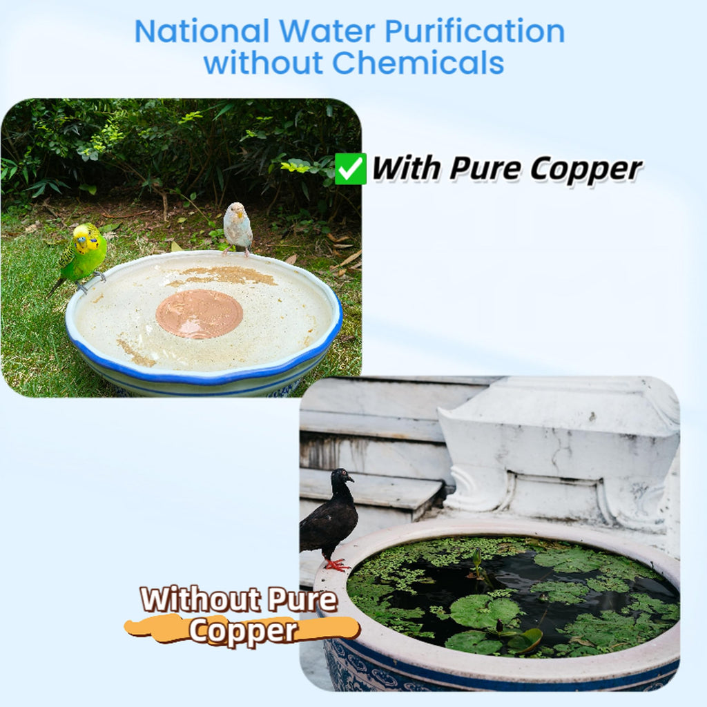 GOHUOX Bird Bath Purification Disk, 99.99% Copper Disc for Bird Bath Copper Disk Cleaner Safe for Outside Birds Fountain Disc Accessories, Fit for Outdoor Birdbath Bowl (3 pcs)
