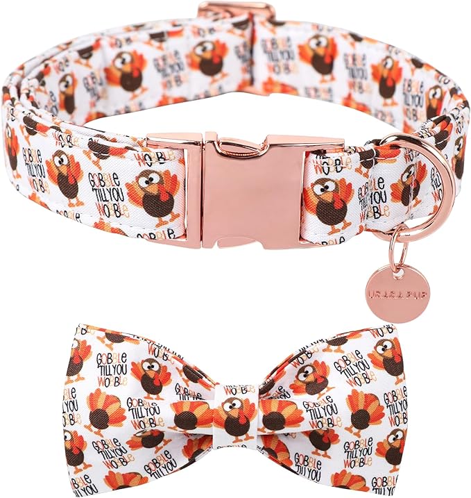 UP URARA PUP Thanksgiving Dog Collar with Bow Tie, Turkey Cotton Bowtie Collar for Puppy Girl Dog or Cat, Autumn Bow Tie Collar with Durable Metal Buckle, Turkeys Pet Collar,M, Neck 13.5-22in