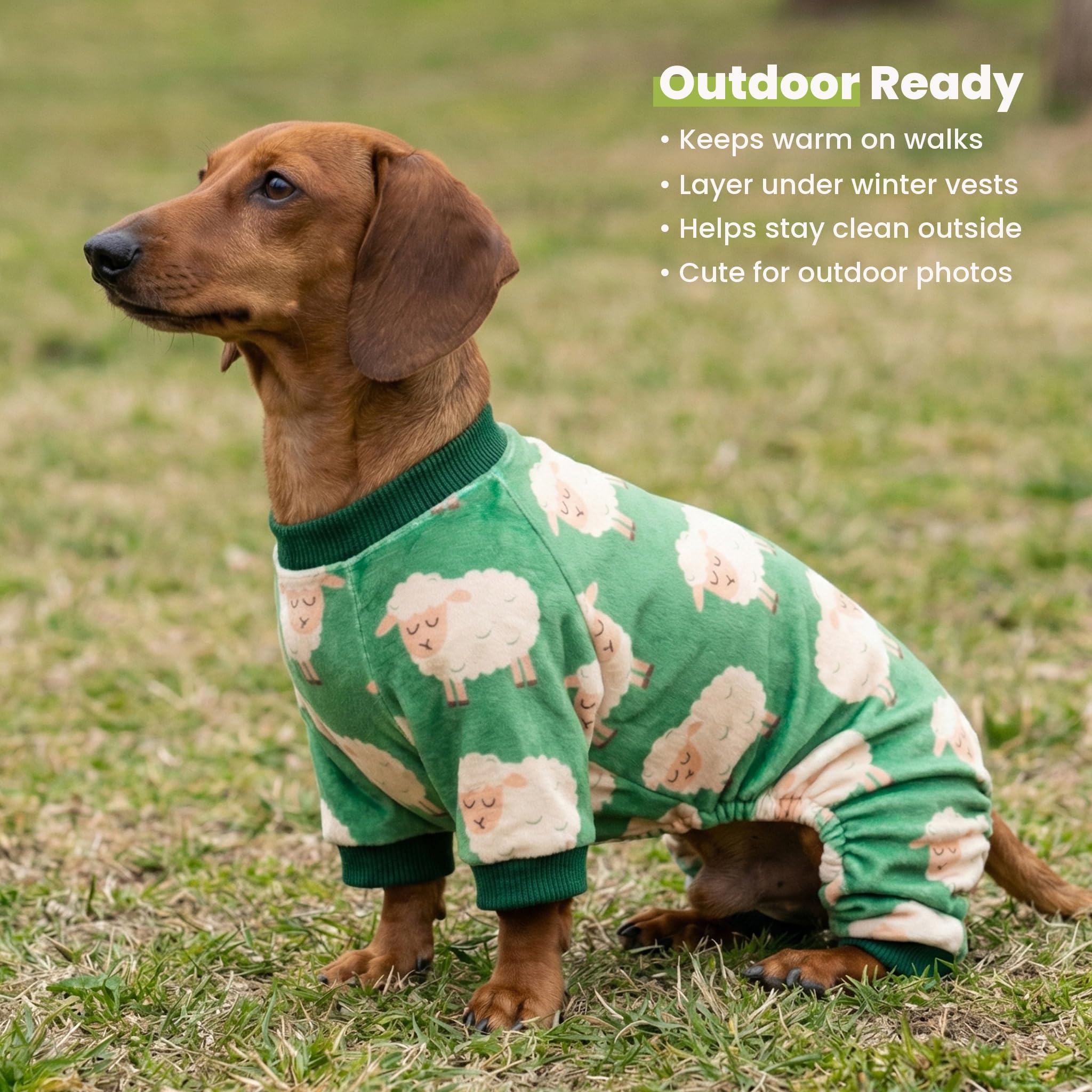Fitwarm Funny Sheep Dog Pajamas, Warm Winter Dog Clothes for Small Dogs Boy Girl, Cozy Pet Onesie with Feet, Green, White, XL
