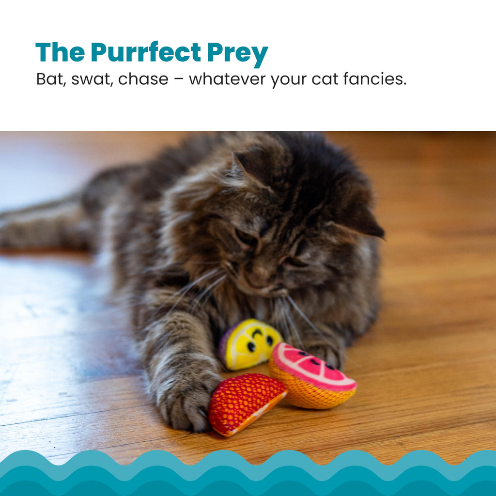 Catstages Dental Fruit Wedges Chew Cat Toys with Catnip, 5.3", 4-Pack