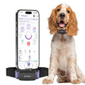 PetPace V3.0 Dog Health Monitor – AI Health Collar with 24/7 Vital Signs Tracks Pain GPS, Telehealth AskaVet & Share with Your Vet & Apple Watch Sync – Subscription Required (Medium)