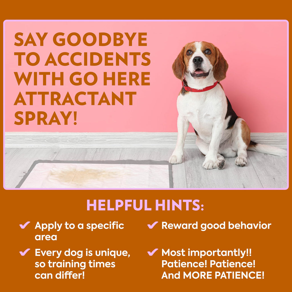 OUT! PetCare Pee Here Attractant, Potty Training Spray for Dogs, 32oz