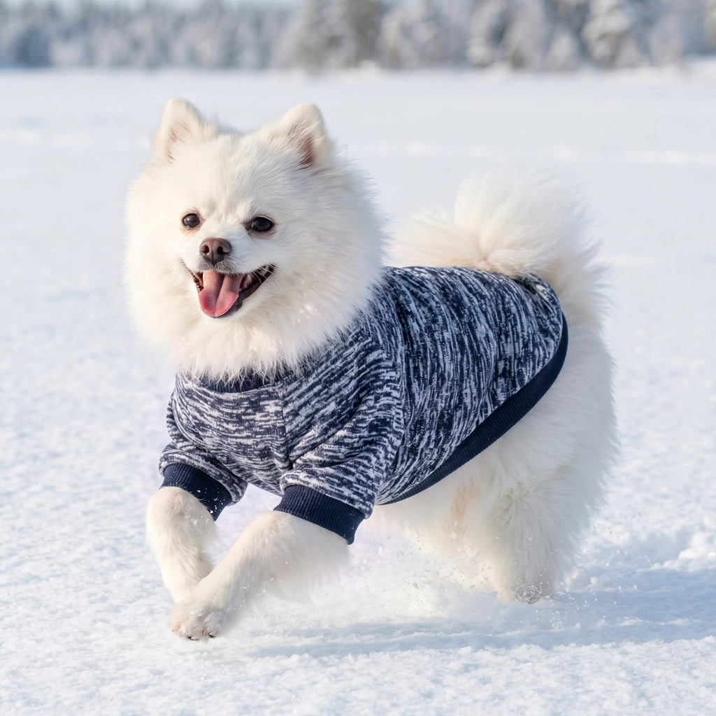 3 Pack Dog Sweaters for Small Dogs Girl Boy Winter Fleece Clothes Warm Soft Dog Sweatshirt Outfit for Dogs Cats Pet Apparel