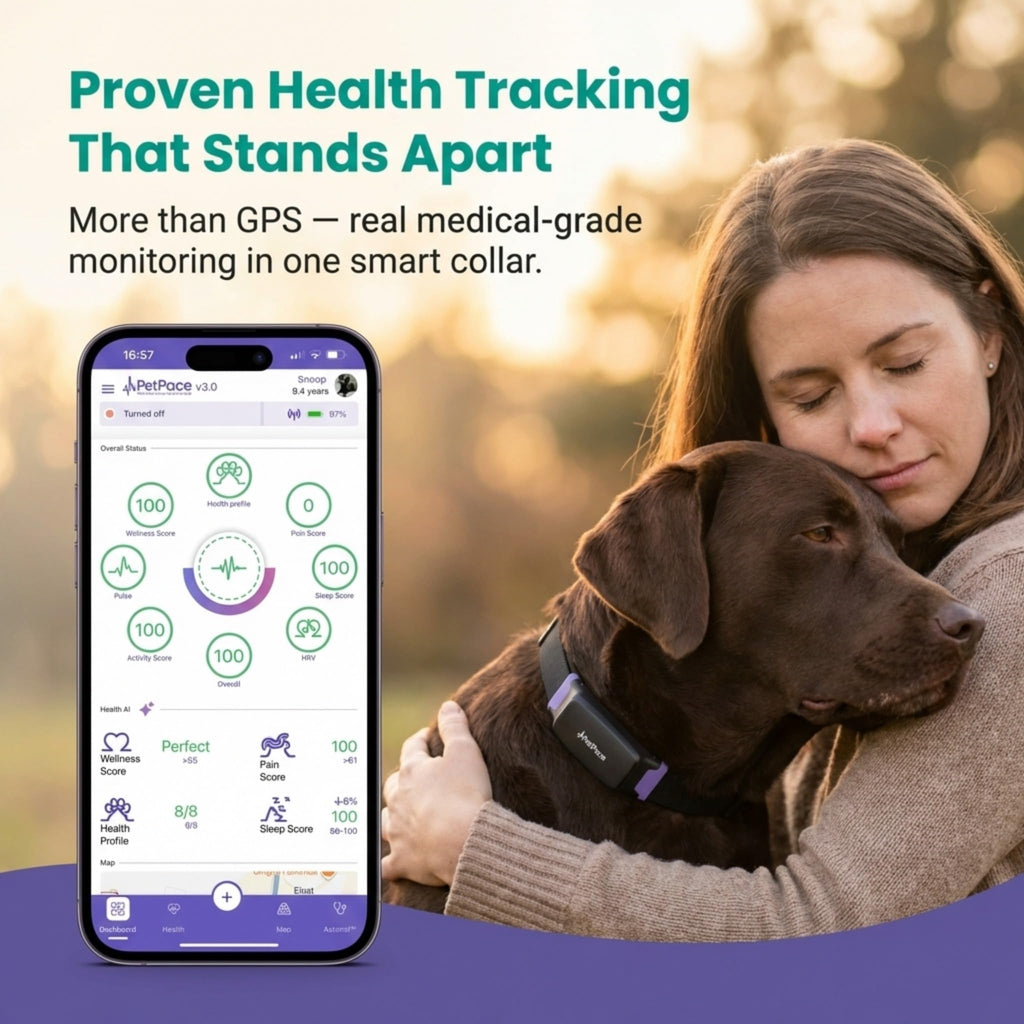 NEW Dog Health Monitor V3.0 by PetPace – AI Smart Collar with 24/7 Vital Signs, Pain & GPS Tracking, Telehealth AskaVet & Share With Your Vet, Smartwatch Sync – Subscription Required (Small)