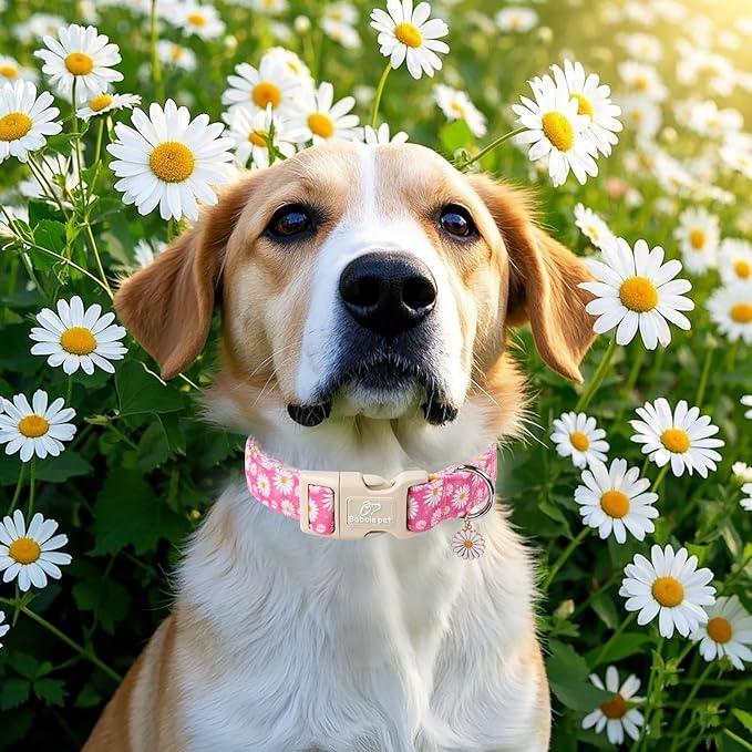 Babole Pet Summer Daisy Dog Collar, Cute Floral Adjustable Pink Dog Collars for Large Dogs, Lightweight Quick-Release Buckle Collar for Boy&Girl Dogs L