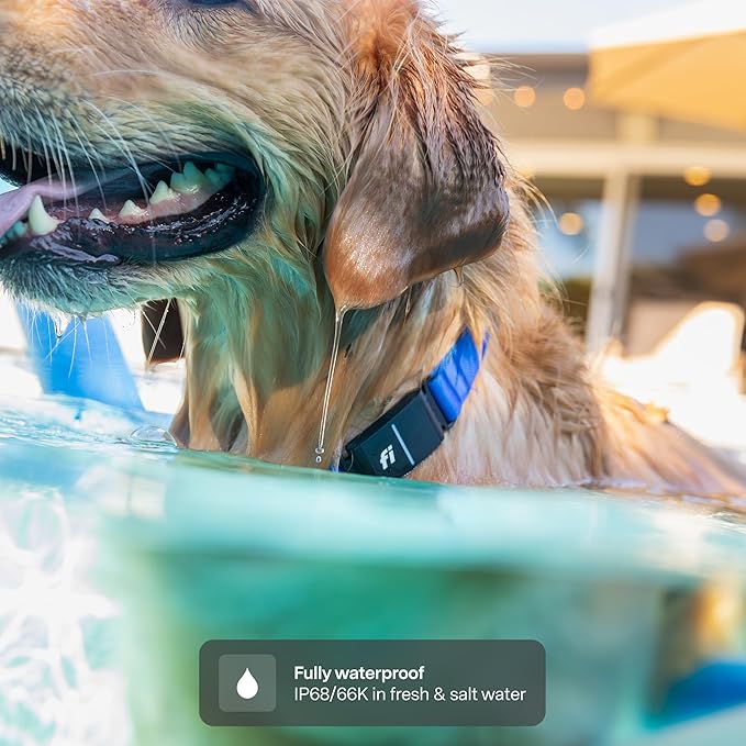 New Fi Series 3+ Smart Dog Tracker Collar [6 Month Membership Included] GPS Tracker for Dogs with Health & Behavior Monitoring, Escape Alerts, Waterproof, LED, Apple Watch Compatible (Blue, X-Large)