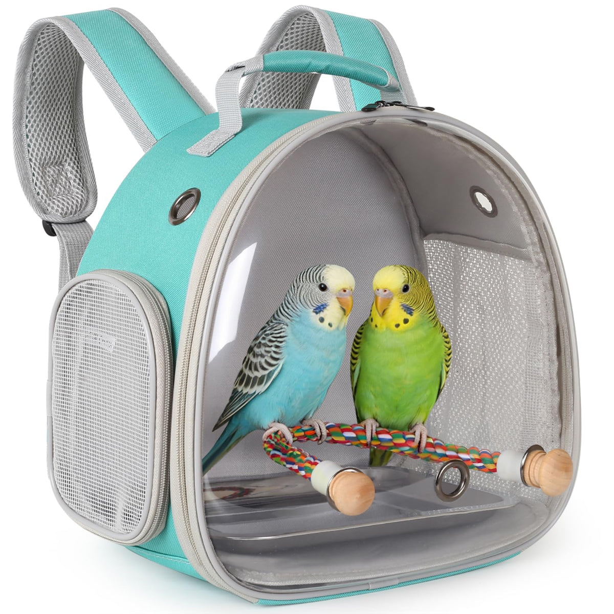 Small Bird Travel Backpack Carrier Cage, Backpack to Transport Backpack Carrier with Clamp Cups Stand Perch for Parakeet Cockatiel Budgies Vet Carry Book Bag Green