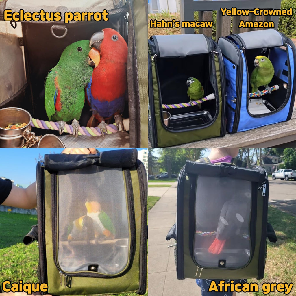 Birds Day Bird Carrier Backpack - Breathable Mesh Portable Parrot Travel Cage with 2PCS Perch, Food Bowl, and Stainless Steel Tray (Charcoal Gray)