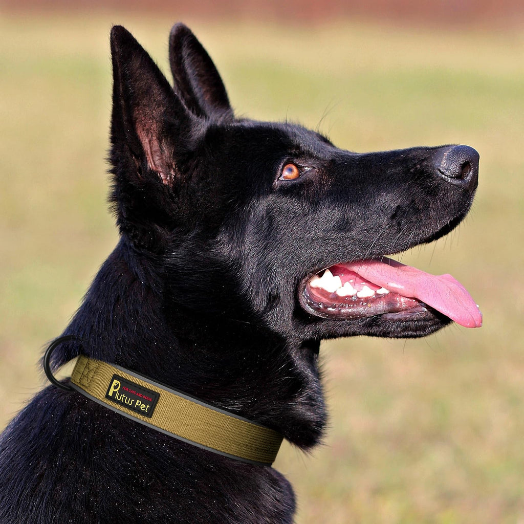 Plutus Pet Tactical Dog Collar, Reflective, Adjustable Heavy Duty Dog Collar, Soft Padded and Comfortable, for Small Medium and Large Dogs (Brown, XL)