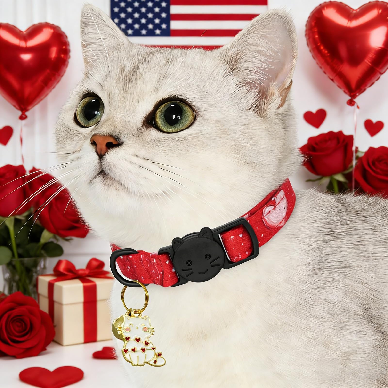 Bobo Rainbow Valentine Red & Black Heart Print Cat Collar(2-Pack) Breakaway