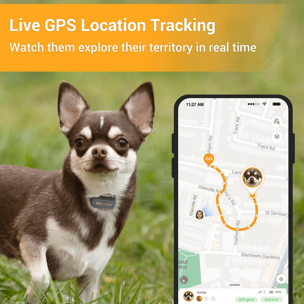 Pawfit Lite 4G GPS Dog Tracker, Live Tracking, Ultra-Light, Lilac Grey