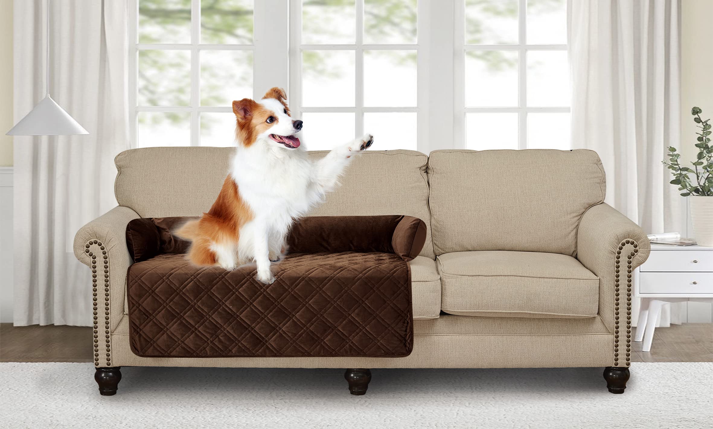 Brilliant Sunshine Latte Grey Paris & Toile Dog Sofa Slipcover, Small