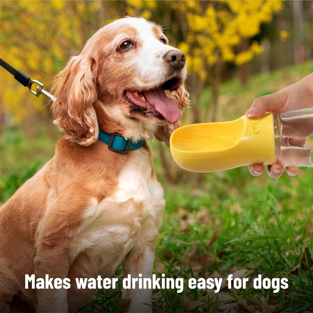 Mr. Pen- Portable Dog Water Bottle, 19 oz, Large