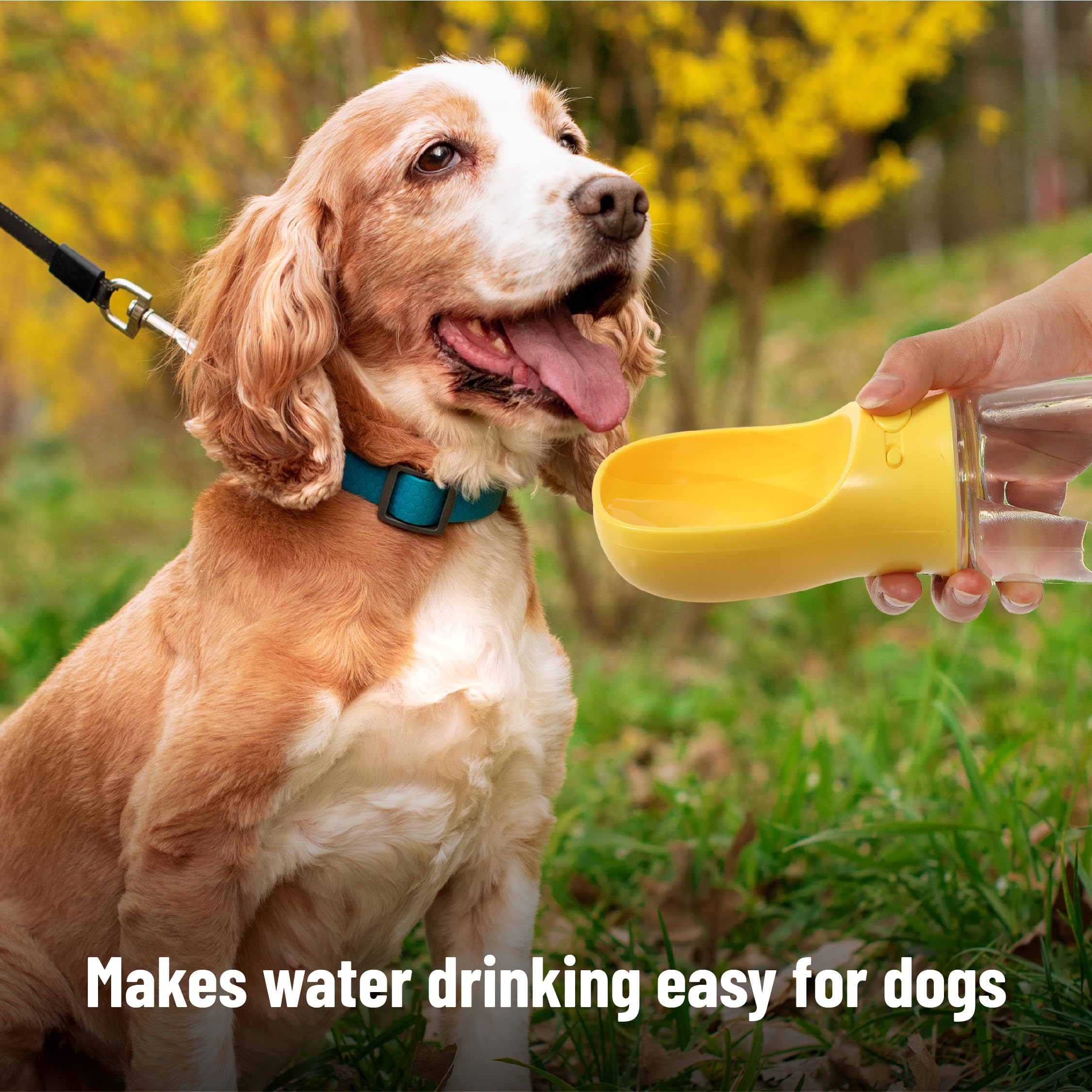 Mr. Pen- Portable Dog Water Bottle, 19 oz, Large