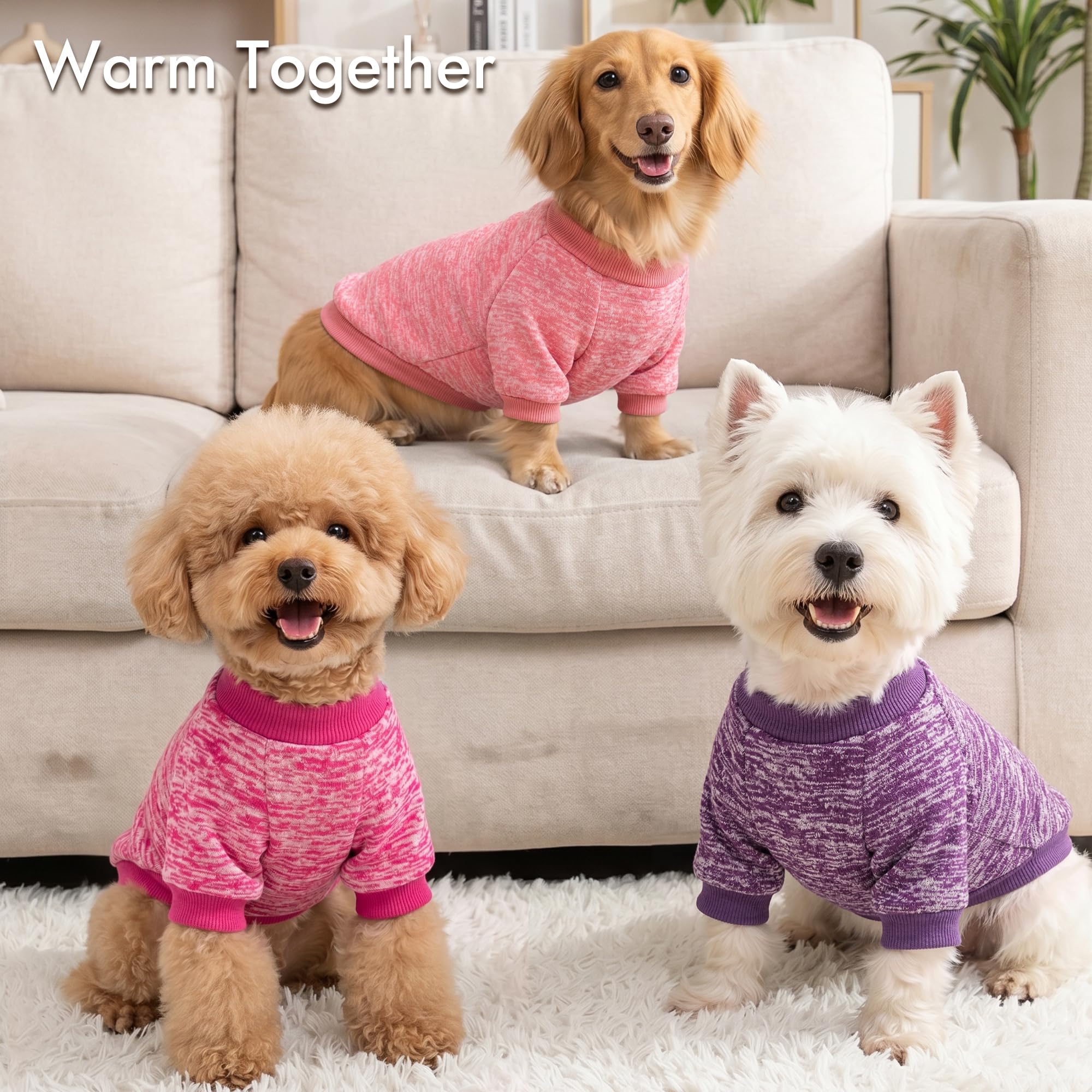 3 Pack Dog Sweaters for Small Dogs Girl Boy Winter Fleece Clothes Warm Soft Dog Sweatshirt Outfit for Dogs Cats Pet Apparel