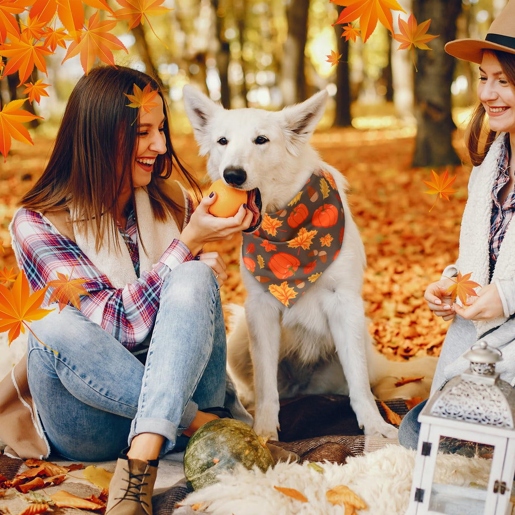 Abbylike 50 Pcs Fall Dog Bandanas Bulk, Autumn Harvest Pumpkin Pattern
