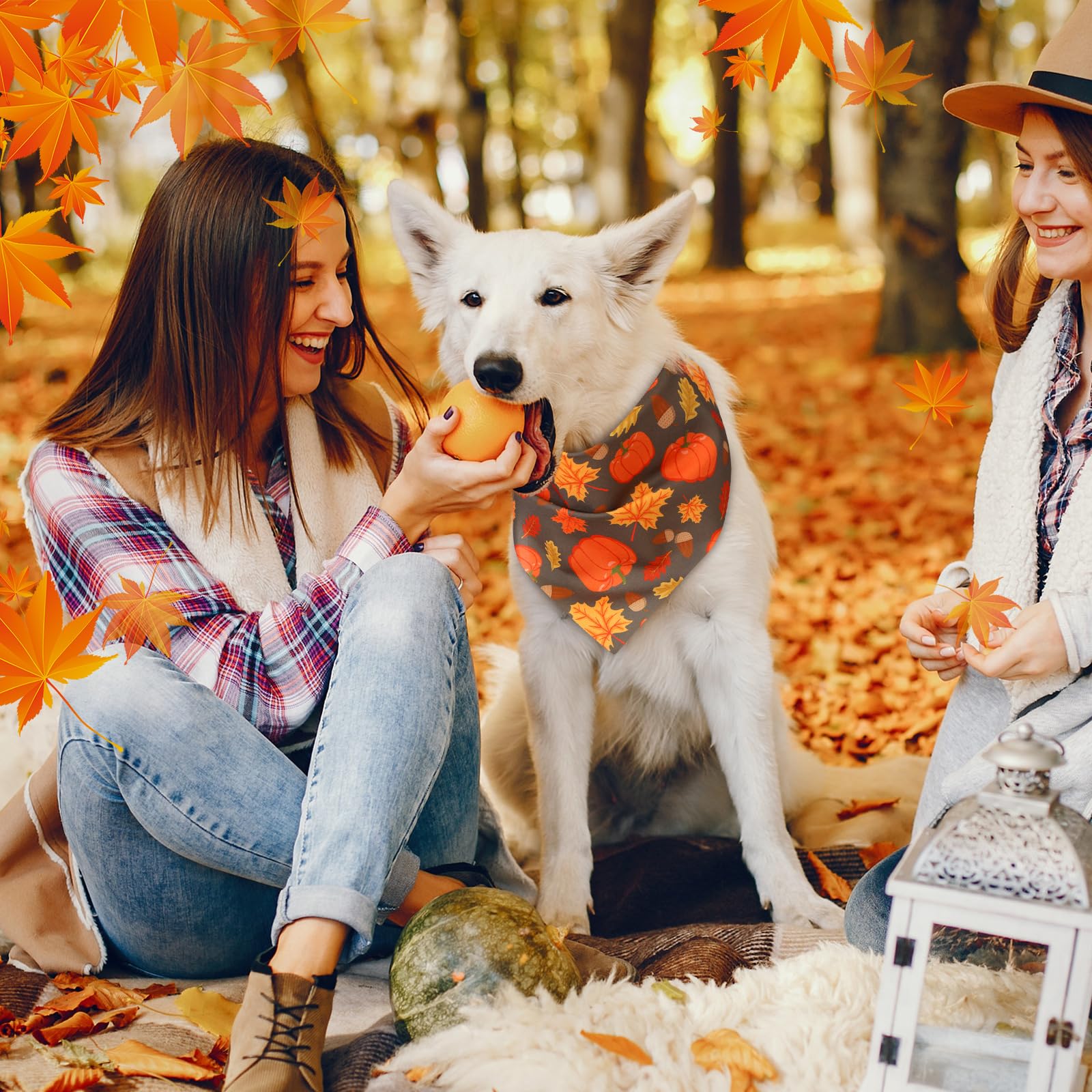 Abbylike 50 Pcs Fall Dog Bandanas Bulk, Autumn Harvest Pumpkin Pattern