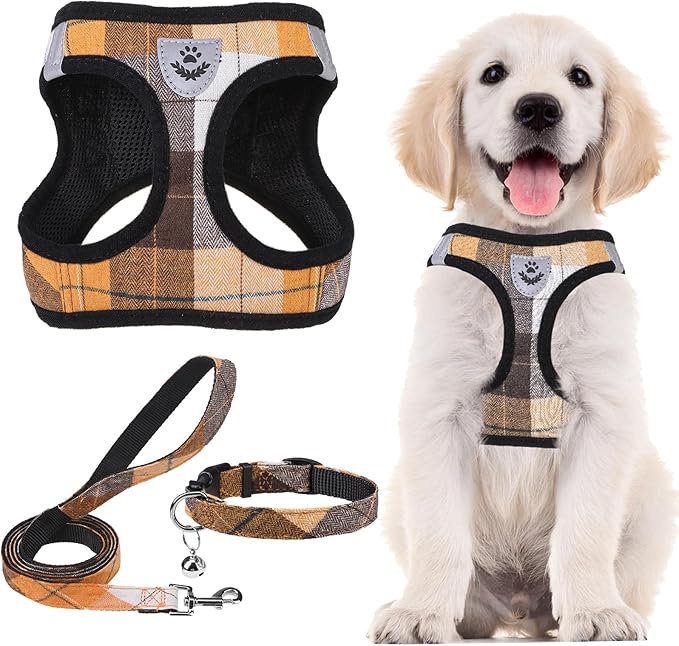 PUPTECK Adjustable Dog Harness Collar and Leash Set Step in No Pull Pet Harness for Small Medium Dogs Puppy and Cats Outdoor Walking Running, Soft Mesh Padded Reflective Vest Harnesses, Orange XS