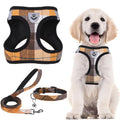PUPTECK Adjustable Dog Harness Collar and Leash Set Step in No Pull Pet Harness for Small Medium Dogs Puppy and Cats Outdoor Walking Running, Soft Mesh Padded Reflective Vest Harnesses, Orange S