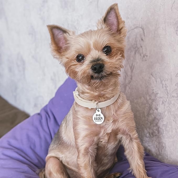 Engraved Pet ID Tags for Cats, Dogs - 4 Color & 5 Shape Options, Personalized w/ 20 Icons, Name, Address, Phone Number - Accessories for Four Legged Friends, Stainless Steel #Heart - Silver