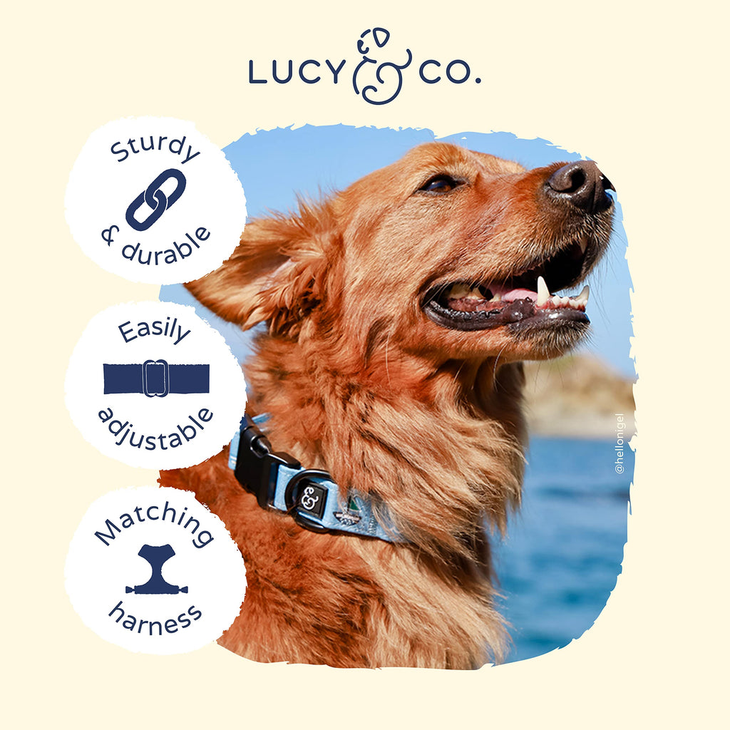 Lucy & Co. Set Sail Adjustable Dog Collar- Cute Designer Pet Collar for Small, Medium, Large Dogs- Buckle Closure Dog Accessories, Large, Blue with Green & Yellow Sailboats