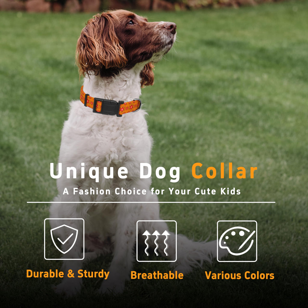 Seyezo Dog Collar, Classical Indian Spirit, Orange, S