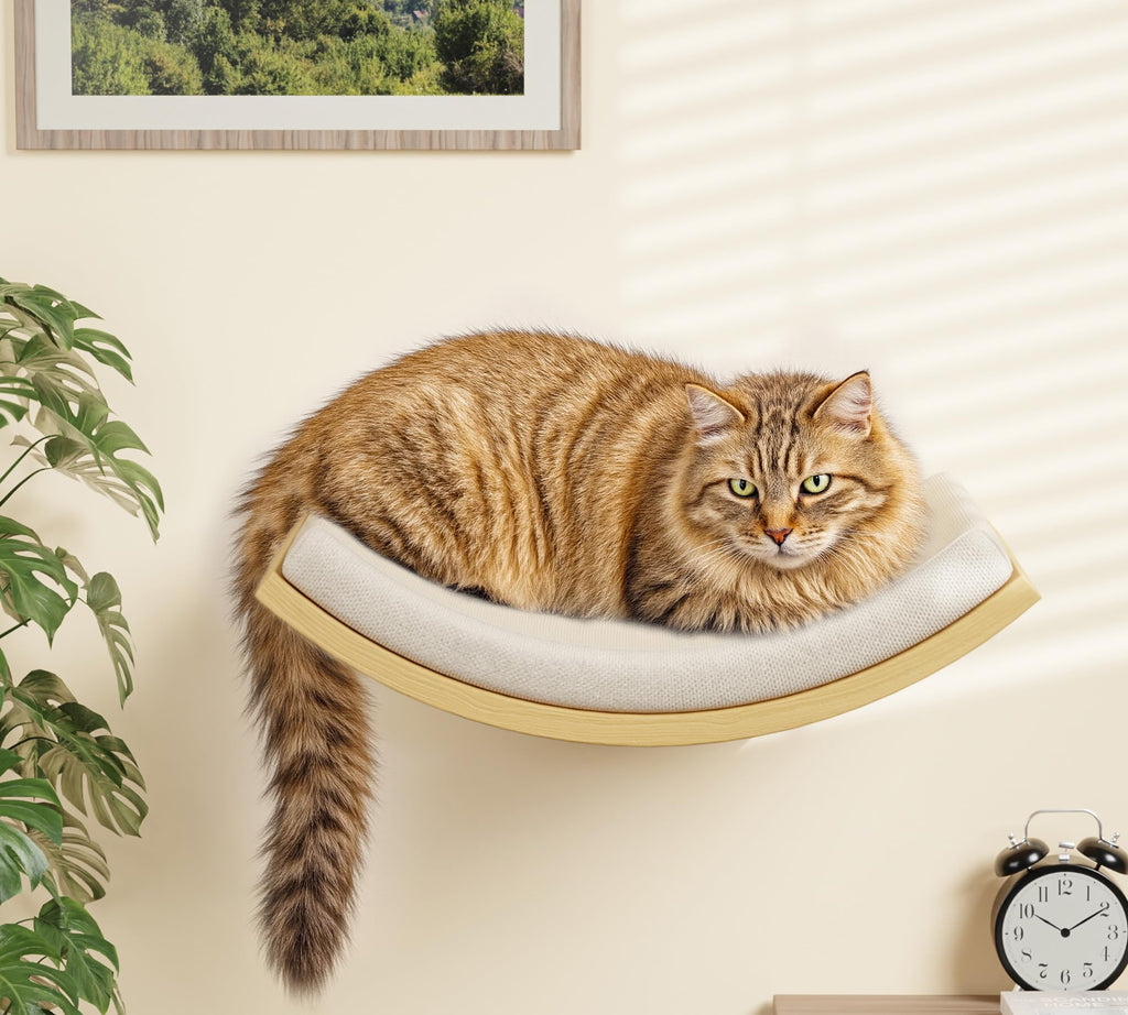 4-PCS Cat Wall Shelves with Foam-Padded Bed & Sisal Steps for Indoor Cats