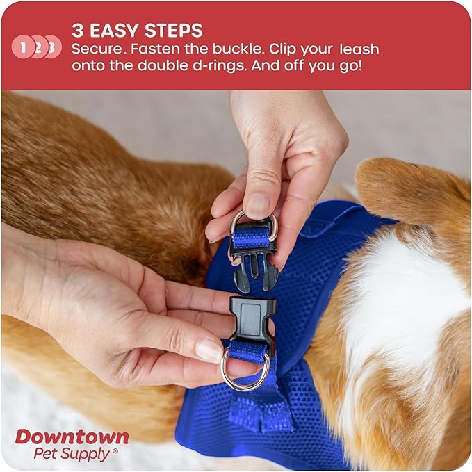 Downtown Pet Supply Step in Dog Harness for Teacup Dogs & Cats No Pull, XX-Small, Blue - Adjustable Harness with Padded Mesh Fabric and Reflective Trim - Buckle Strap Harness for Dogs